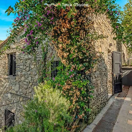 Villa Il Frantoio, Terre Marine Corniglia